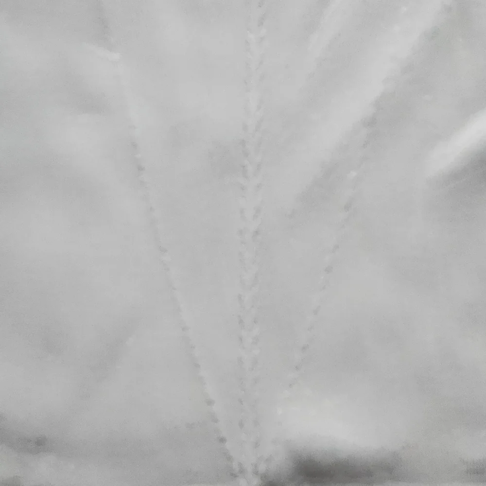 NWOT White House Black Market Sweater Tank Size Small Color white - Picture 4 of 13